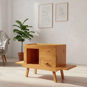 Mid-century wooden media console styled as a living room wood accent — Bruinhout