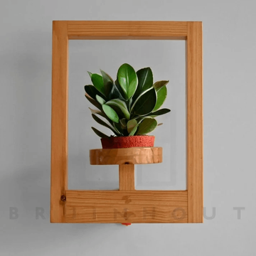 Floating Wooden Frame Plant Holder | Wall Mounted Plant Stand