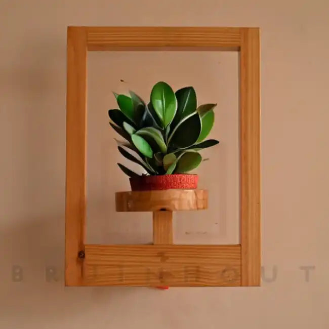 Floating Frame Plant Holder
