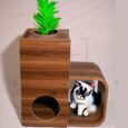 openart-c3c68bb8f11449fd8ba1cd0356a235c2_raw (1)