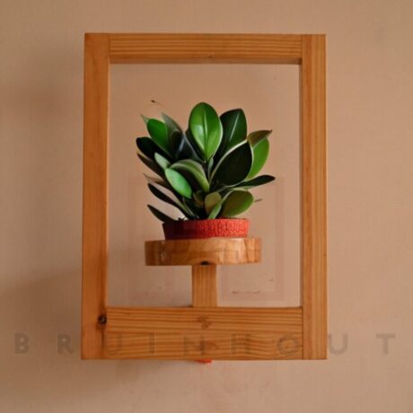 frame plant holder